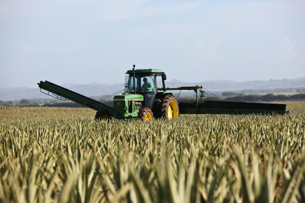 Gears for Agriculture Industry